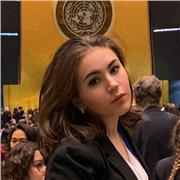 Studentessa del liceo scientifico con certificazione FCE del livello C1 di lingua inglese impartisce lezioni a domicilio